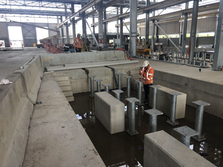 IMG_1506_optimized_2000