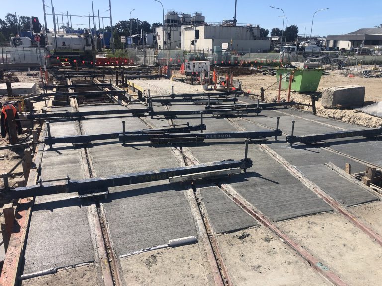 IMG_1732_optimized_2000